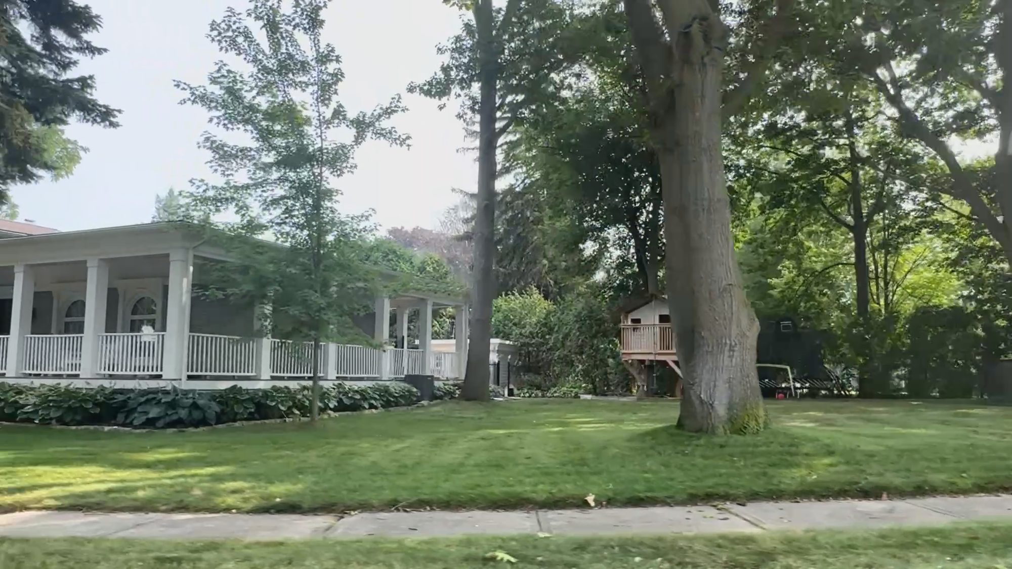 A wide residential street under a mature tree, a white verandah beyond