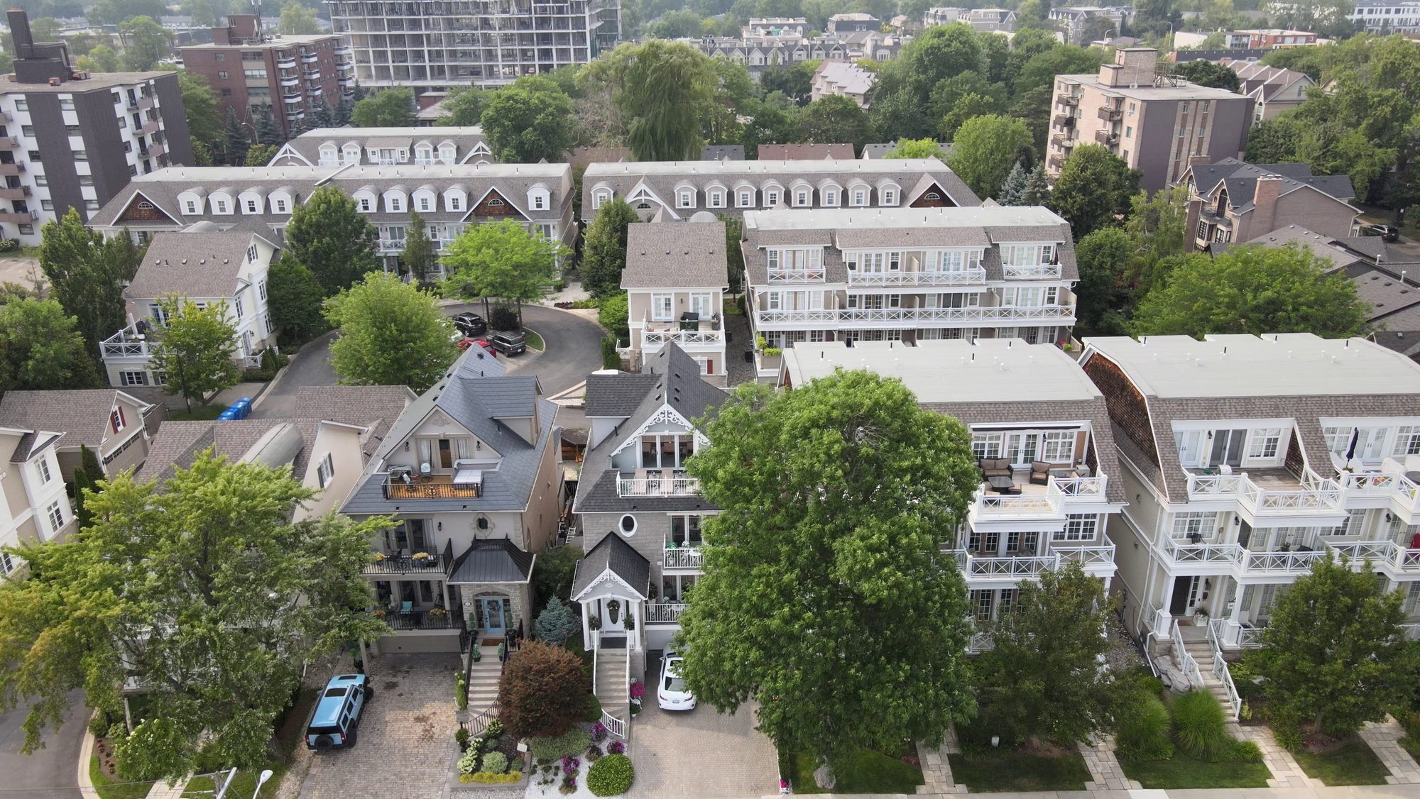 Detached houses and full-grown trees from the air on a clear day