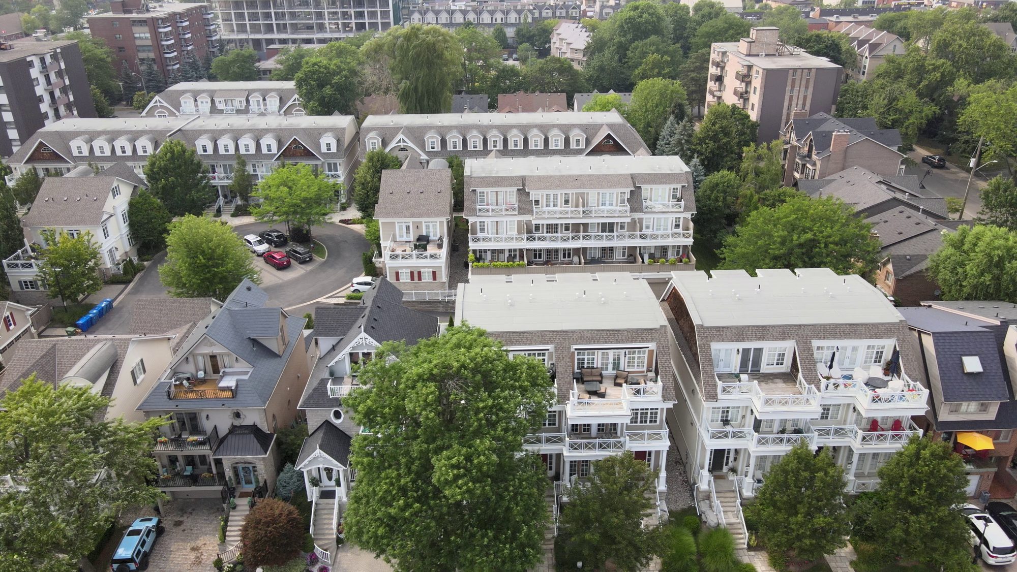 Low-rise homes, gardens and street trees seen from directly above