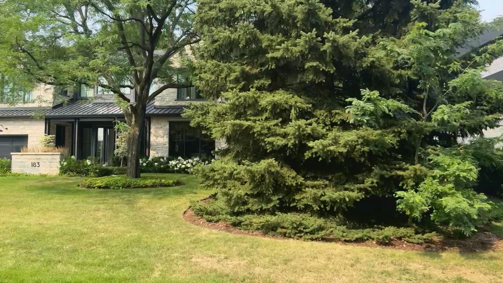 A modern low house set back behind a broad lawn and a mature evergreen