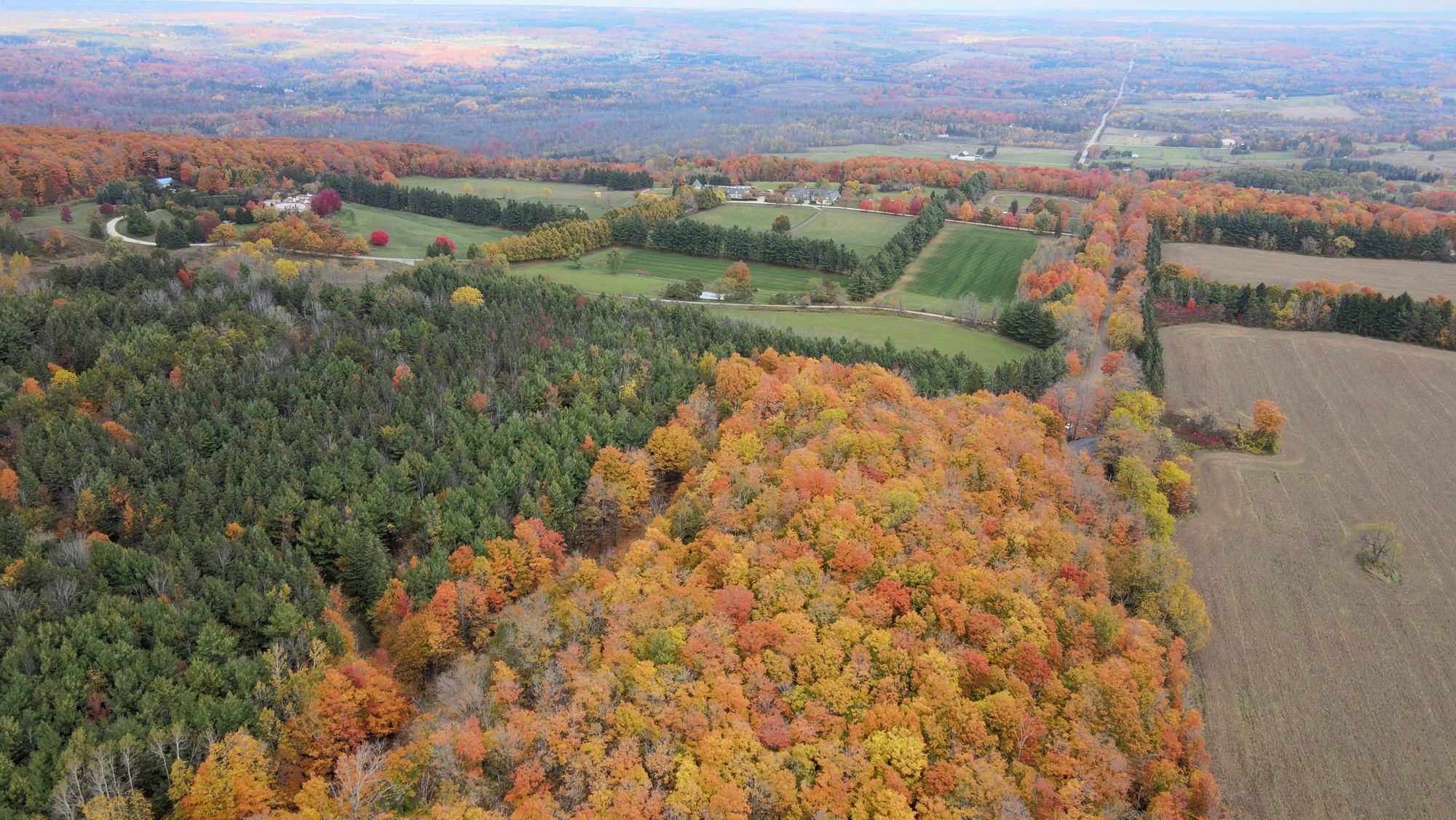 Farmland and hardwood bush in full autumn colour, seen from the air