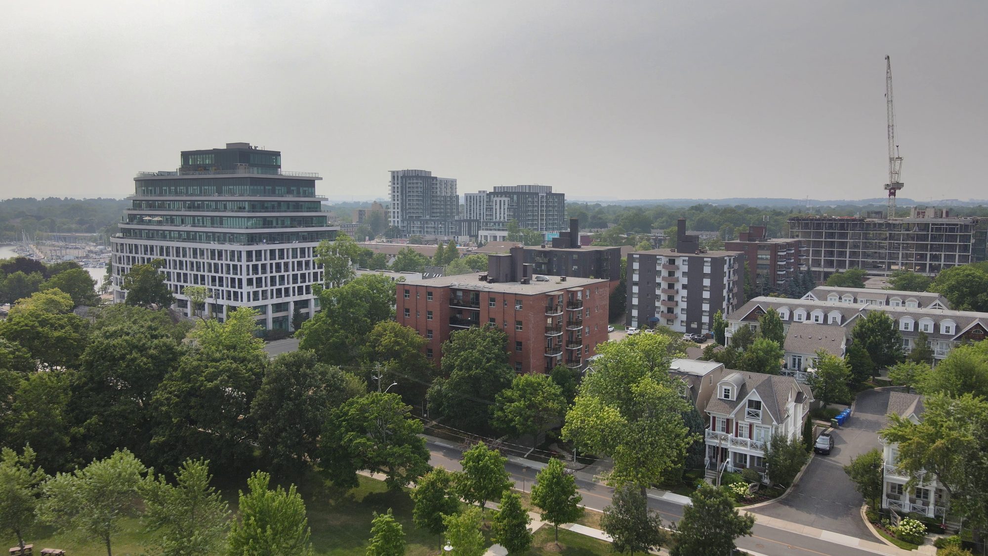 Office and apartment blocks among mature trees under an overcast sky