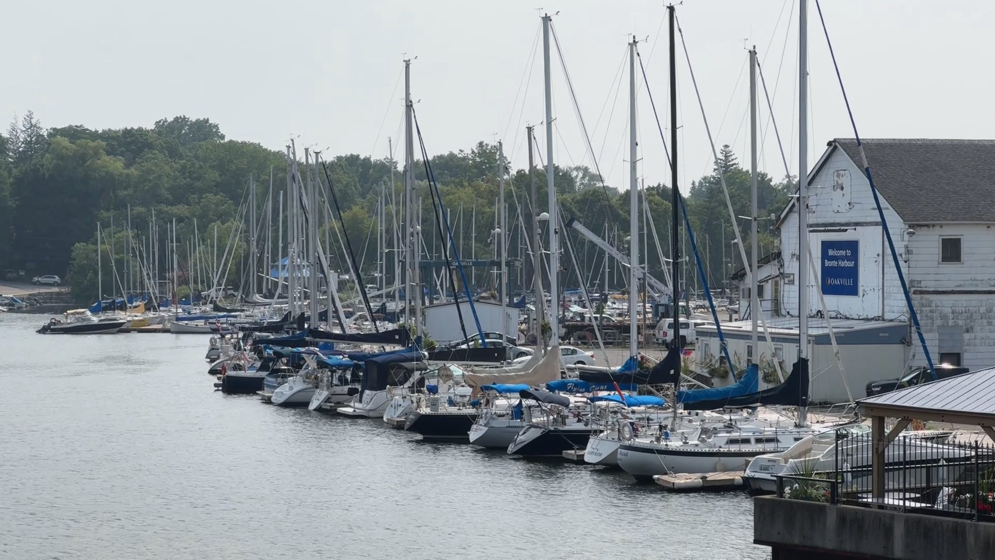 Sailboats tied up along a marina dock on flat water