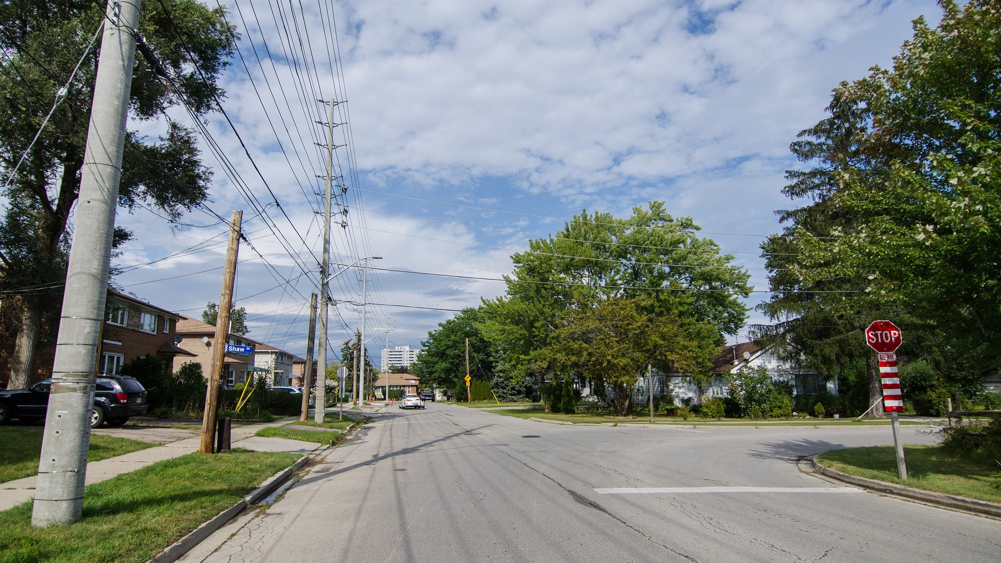A quiet Mineola street corner: open-ditch verges, hydro poles and mature trees, with the Port Credit skyline in the distance